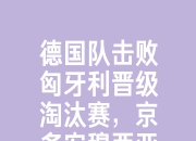 开云棋牌下载-欧锦赛决赛瞩目：德国队实力压倒晋级的简单介绍