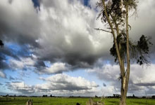 开云棋牌下载-雄鹿末节带走勇士，英格拉姆成为关键先生