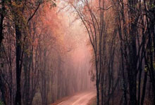 开云官网-世纪对决！皇马3-1利物浦，银河战舰亮最锋利矛，红军卫冕路再遭重击！