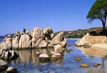 开云官网-因此，我们这样设计软文：最新德甲：新星“德国詹姆斯”闪耀，拜仁领跑积分榜剑指冠军