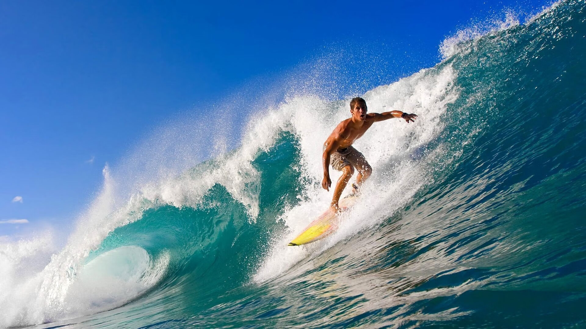 维尼修斯冠军级表现闪耀，乌拉圭巅峰对决决胜卡塔尔之路